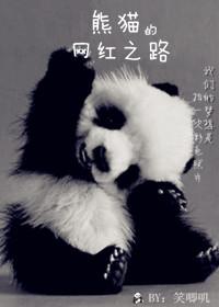 成都 网红 熊猫