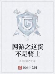 网游之这货不是骑士穿越