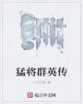 三国群英传ol猛将加点