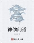 问道手游宝藏小偷跑了
