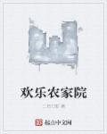 欢乐农家院网络