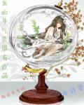 斗气装备有什么用