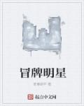 冒牌明星免费阅读全文主