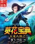 天龙八部葵花宝典软件怎么用