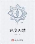 异度凶情介绍