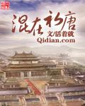 混在初唐小地主TXT