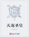 圣天龙飞乐
