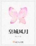 皇城风月 父女笔趣阁