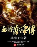 西游记大黄蜂