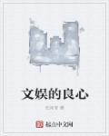 文娱的良心 全集txt免费