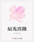 晨光熹微全部