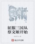 征服三国从蔡文姬开始视频