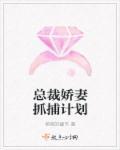总裁逮捕小娇妻