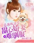 总裁甜妻枕边欢