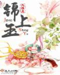 锦上玉堂