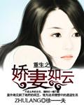 我的极品红颜-徐一一夫