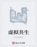 虚拟共生经济举例