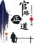官场正道