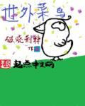 菜鸟国际怎么样
