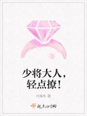 少将轻一点免费阅读全文