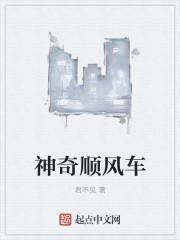 神奇顺风车 聚合中文网