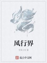 风行界gl