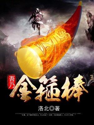 吾乃金箍棒全文免费阅读无弹窗