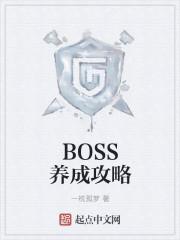 boss秘籍