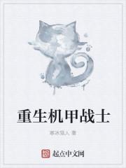 机甲战士5