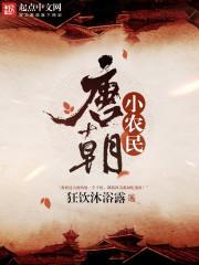 唐朝农民改进的农具