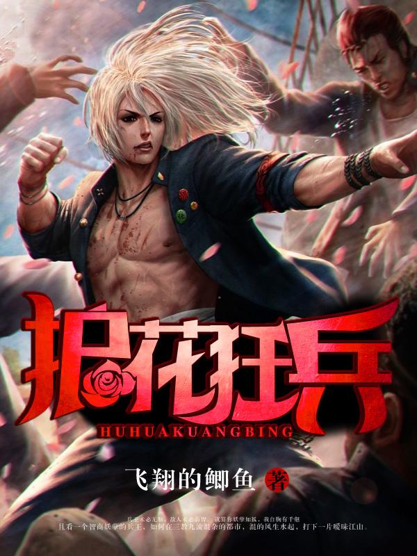 护花狂兵 小虫不飞