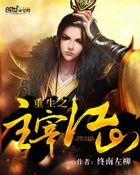 重生之主宰江山txt免费