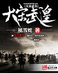 大宋武皇动漫