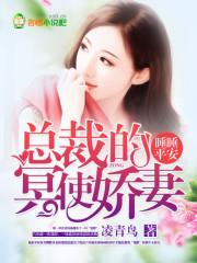 睡睡平安txt 典心