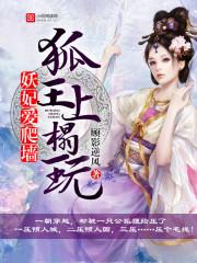妖妃上位记小视频