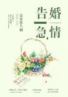 婚情告急霍少请放手池婉