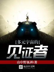 多元宇宙的见证者是什么
