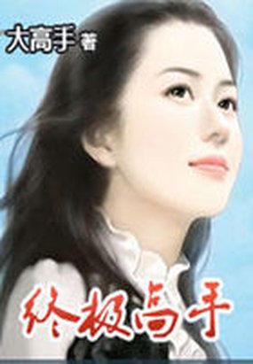 终极高手2百科