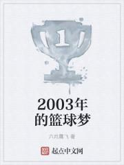 03年进入nba的球星