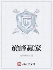 巅峰玩家顶点