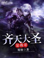 歌词我是齐天大圣