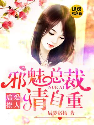 邪魅总裁用力追