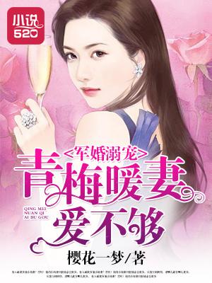 军婚宠文青梅竹马文