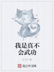 我真不会武功我只是天生神力