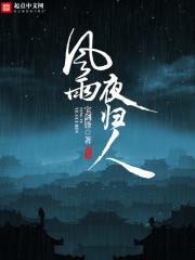 风雨夜归人刘恒