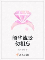 韶华如流水 下一句