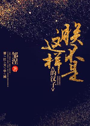 朕不是这样的汉子TXT百度