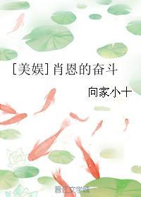 美娱肖恩的奋斗史