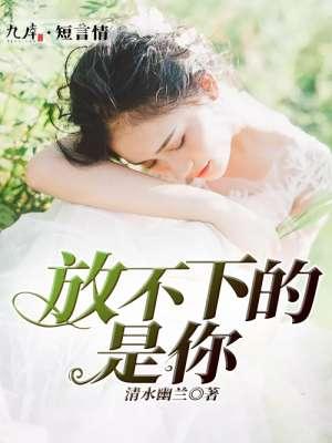 放不下的是你歌词韩函