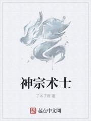 术士神器技能
